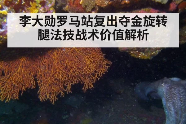 李大勋罗马站复出夺金旋转腿法技战术价值解析