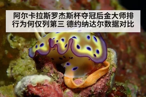 阿尔卡拉斯罗杰斯杯夺冠后金大师排行为何仅列第三 德约纳达尔数据对比