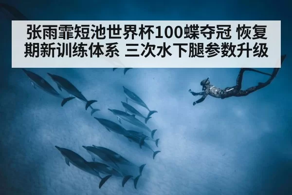 张雨霏短池世界杯100蝶夺冠 恢复期新训练体系 三次水下腿参数升级