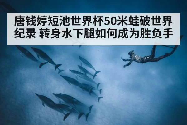 唐钱婷短池世界杯50米蛙破世界纪录 转身水下腿如何成为胜负手
