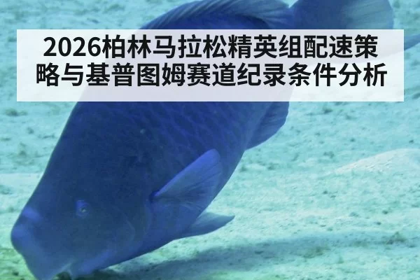 2026柏林马拉松精英组配速策略与基普图姆赛道纪录条件分析